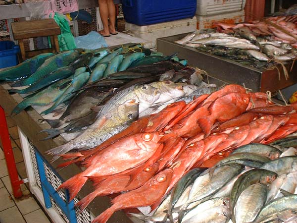 04-Market-fishes